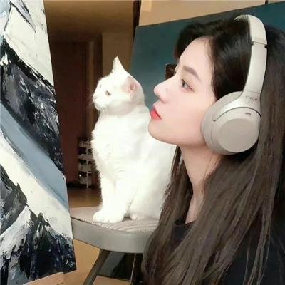 独占我的英雄
